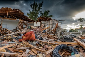 Wind Damage